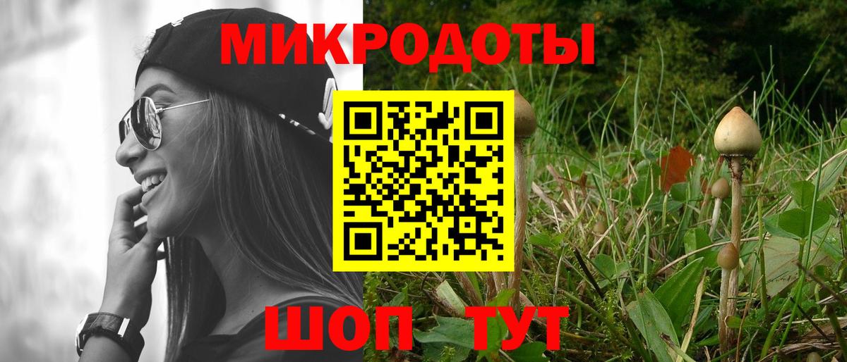 Галлюциногенные грибы Psilocybine cubensis  Галлюциногенные грибы прущие грибы  Ангарск  наркотики  Вход с VPN 